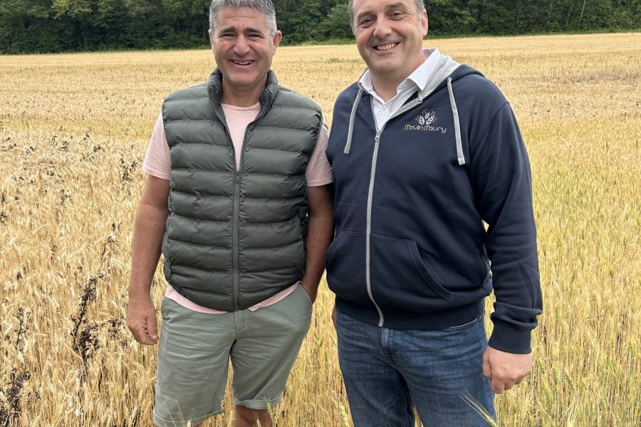 Agriculture & meunerie