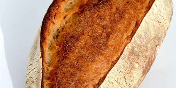 DSC_0483 ROUGE DE BORDEAUX