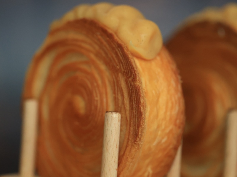 STEPHANIE MADAULE PHOTOGRAPHE MOULIN MAURY REVEL (731)